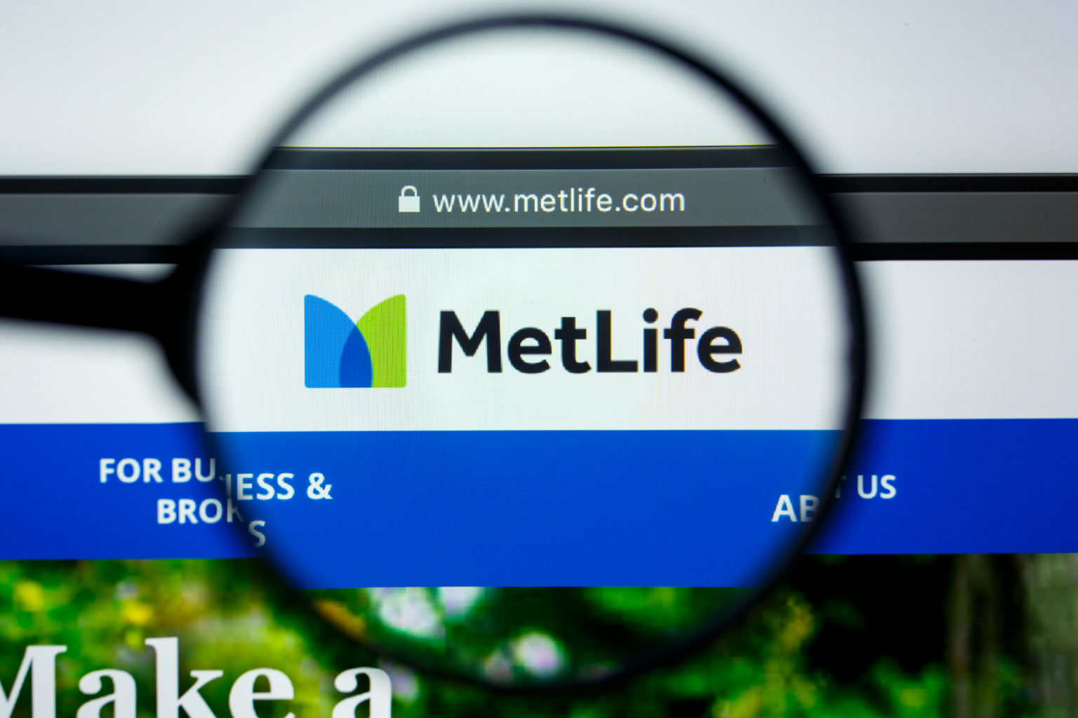 Metropolitan Life Insurance Review - Expensivity