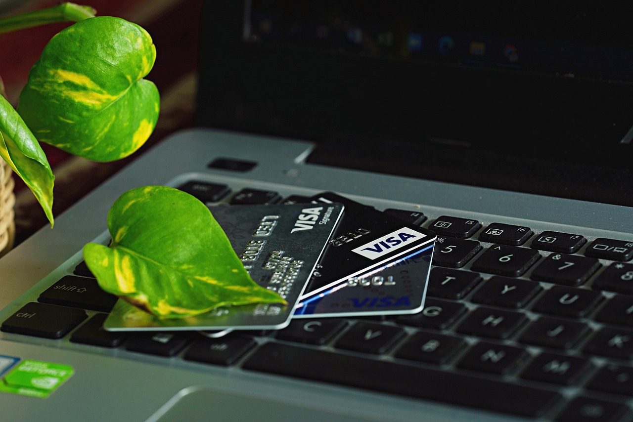 Three credit cards on the laptop's keyboard with a leaf on it